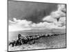 1870s-1880s Montage of Covered Wagons Crossing the American Plains-null-Mounted Photographic Print