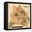 1871, Davidson County and Nashville Wall Map, Tennessee, United States-null-Framed Premier Image Canvas