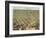 1871, Lexington Bird's Eye View, Kentucky, United States-null-Framed Giclee Print