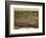 1872, Raleigh Bird's Eye View, North Carolina, United States-null-Framed Giclee Print