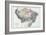 1873, Brazil, Bolivia, Peru, Ecuador-null-Framed Giclee Print