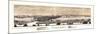 1873, Moline Panoramic View, Illinois, United States-null-Mounted Giclee Print