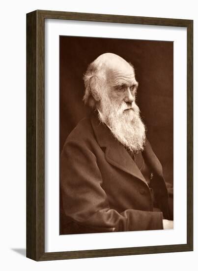 1874 Charles Darwin Picture by Leonard.-Paul Stewart-Framed Photographic Print