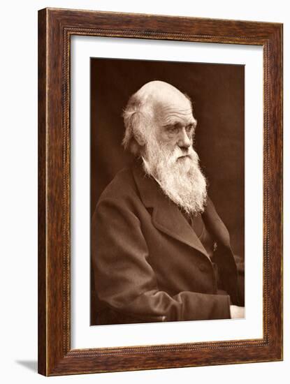 1874 Charles Darwin Picture by Leonard.-Paul Stewart-Framed Photographic Print