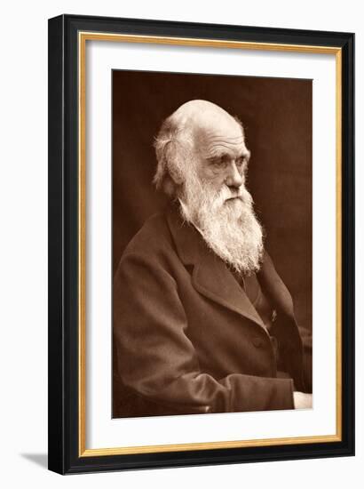 1874 Charles Darwin Picture by Leonard.-Paul Stewart-Framed Photographic Print