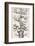 1874 Haeckel First Full 'tree of Life'-Stewart Stewart-Framed Photographic Print