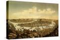 Stretched Canvas Print