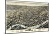 1874, Wilmington Bird's Eye View, Delaware, United States-null-Mounted Giclee Print