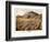 1875, Virginia City Bird's Eye View, Nevada, United States-null-Framed Giclee Print