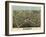 1875, Westfield Bird's Eye View, Massachusetts, United States-null-Framed Giclee Print