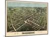1875, Westfield Bird's Eye View, Massachusetts, United States-null-Mounted Giclee Print