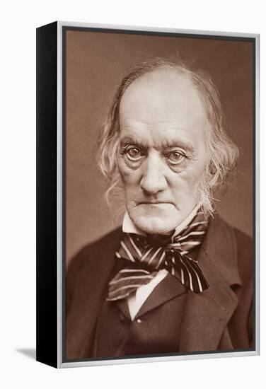 1878 Sir Richard Owen Photograph Portrait-Paul Stewart-Framed Premier Image Canvas