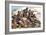 1880, Boers of the Transvaal Fighting at Majuba Hill During the First Boer War-Pat Nicolle-Framed Giclee Print