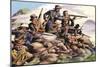 1880, Boers of the Transvaal Fighting at Majuba Hill During the First Boer War-Pat Nicolle-Mounted Giclee Print