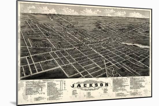 1881, Jackson Bird's Eye View, Michigan, United States-null-Mounted Giclee Print