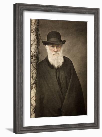 1881 Tinted Charles Darwin Portrait-Paul Stewart-Framed Photographic Print