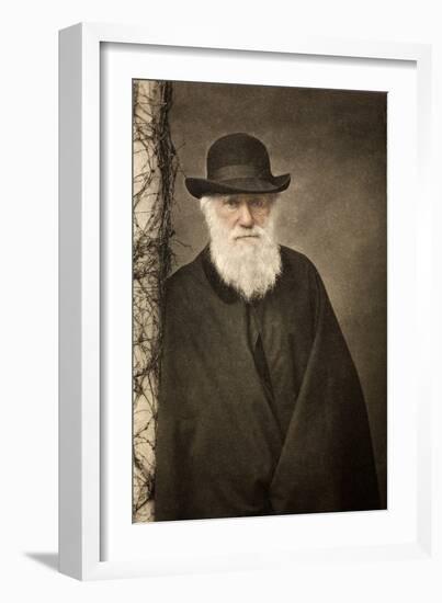 1881 Tinted Charles Darwin Portrait-Paul Stewart-Framed Photographic Print