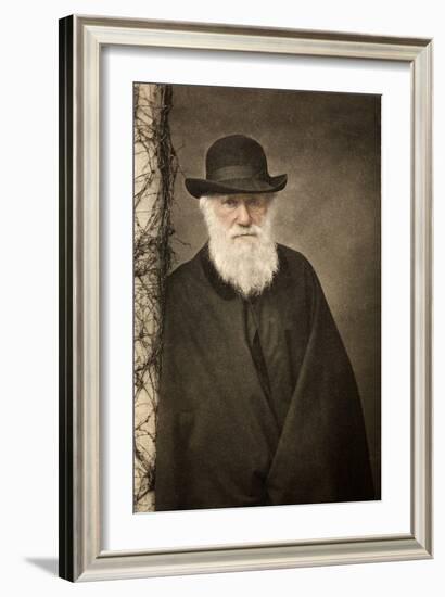 1881 Tinted Charles Darwin Portrait-Paul Stewart-Framed Photographic Print