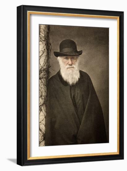 1881 Tinted Charles Darwin Portrait-Paul Stewart-Framed Photographic Print