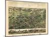 1882, Cheshire Bird's Eye View, Connecticut, United States-null-Mounted Giclee Print