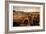 1882, Grand Canyon - Sheet VI - The Grand Canon at the foot of the Toroweap-Looking East, Arizona-null-Framed Giclee Print
