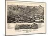 1882, Trinidad Bird's Eye View, Colorado, United States-null-Mounted Giclee Print