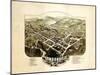 1884, Lyndonville Bird's Eye View, Vermont, United States-null-Mounted Giclee Print