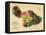 1885, Maui Island Map, Hawaii, United States-null-Framed Premier Image Canvas