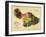 1885, Maui Island Map, Hawaii, United States-null-Framed Giclee Print