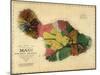 1885, Maui Island Map, Hawaii, United States-null-Mounted Giclee Print