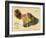 1885, Maui Island Map, Hawaii, United States-null-Framed Giclee Print