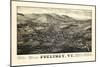 1886, Poultney Bird's Eyes View, Vermont, United States-null-Mounted Giclee Print