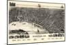 1888, Evansville Bird's Eye View, Indiana, United States-null-Mounted Giclee Print