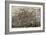 1892, Atlanta Bird's Eye View, Georgia, United States-null-Framed Giclee Print