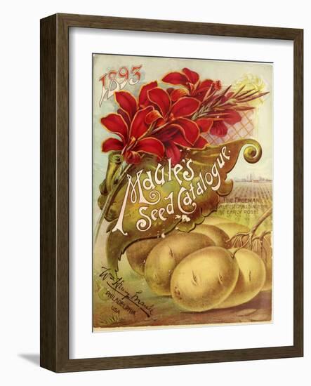 1893 Maule's Seed-Vintage Apple Collection-Framed Giclee Print