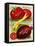 1893 Maule Tomatoes-Vintage Apple Collection-Framed Premier Image Canvas