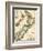 1895, New Zealand-null-Framed Giclee Print