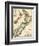 1895, New Zealand-null-Framed Giclee Print