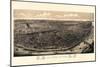 1895, Saint Louis 1895c Bird's Eye View, Missouri, United States-null-Mounted Giclee Print