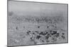 1896 Colorado Springs Scenic View-W.E. Hook-Mounted Art Print