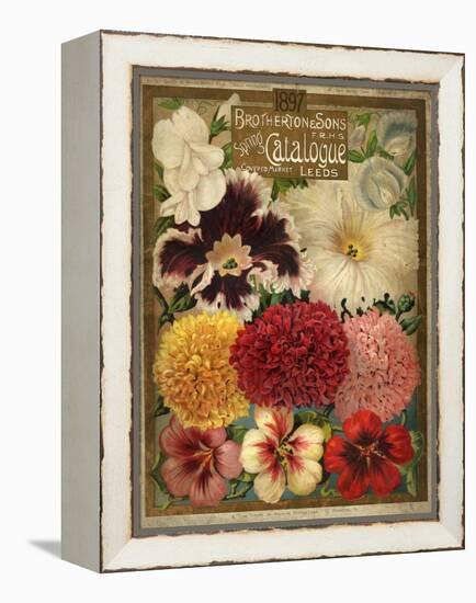 1897 Brotherton and Sons Spring Catalogue-null-Framed Stretched Canvas