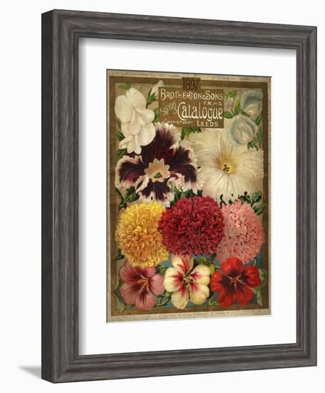 1897 Brotherton and Sons Spring Catalogue-null-Framed Art Print