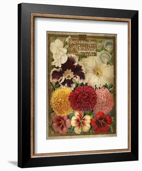 1897 Brotherton and Sons Spring Catalogue-null-Framed Art Print