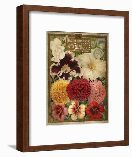 1897 Brotherton and Sons Spring Catalogue-null-Framed Art Print