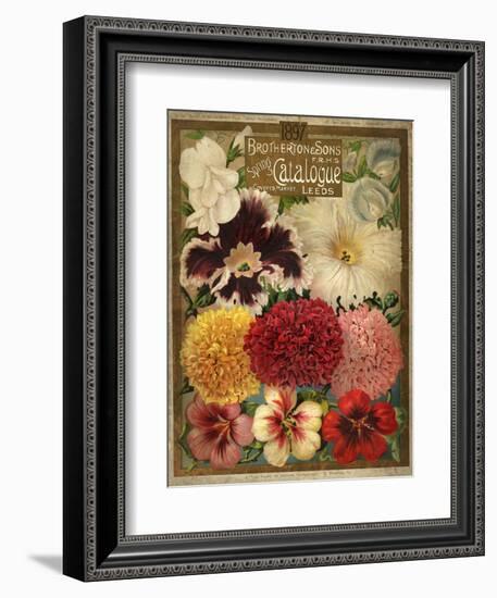 1897 Brotherton and Sons Spring Catalogue-null-Framed Art Print