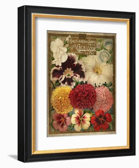 1897 Brotherton and Sons Spring Catalogue-null-Framed Art Print