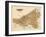 1898, Cleveland, Ohio, United States-null-Framed Giclee Print