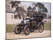 Photographic Print