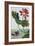 18th Century French Print of Red Water Lily of China II.-Stapleton Collection-Framed Giclee Print