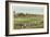 18th Green, Golf Tournament-null-Framed Art Print